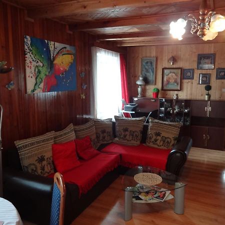 App Tony Beroun Apartment Bagian luar foto